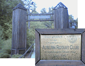 hickory dickory 2011